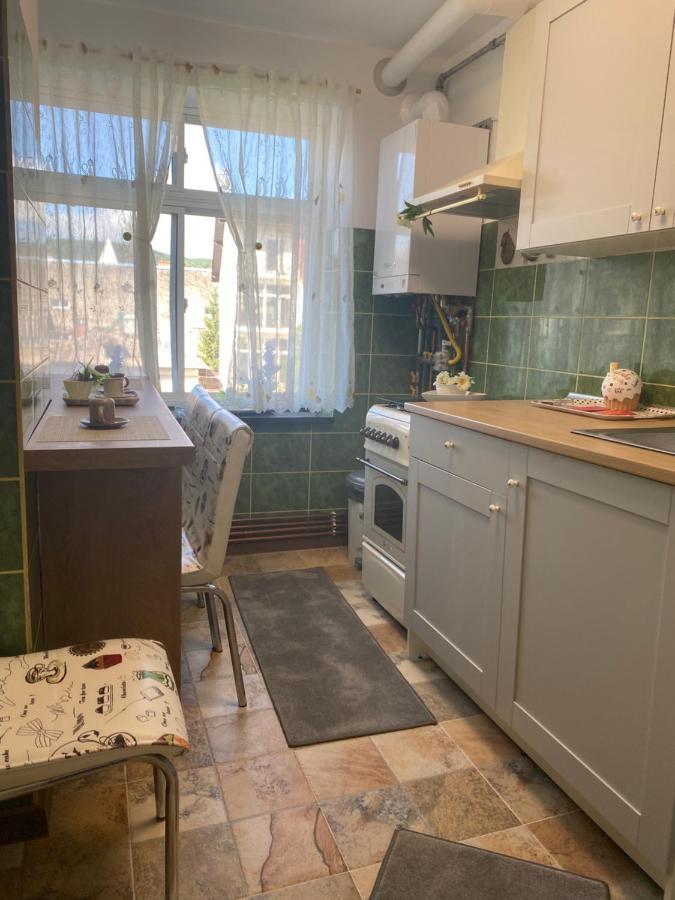 Apartament David Apartment Pucioasa Екстериор снимка