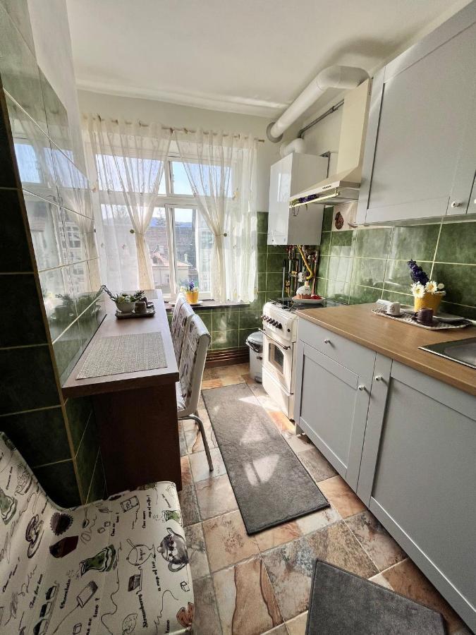 Apartament David Apartment Pucioasa Екстериор снимка